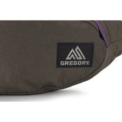 ヨドバシ.com - グレゴリー GREGORY テールランナー V2 ウエスト