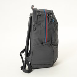 chironeco　グレゴリー　デイバック グレゴリー GREGORY リュックサック デイパック【SUNBIRD