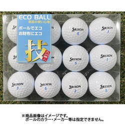 24 ロストボール 12P 技 [ゴルフボール]