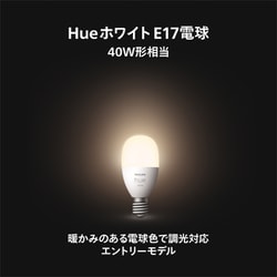 PHILIPS Hue白色LED電球 E17 470ルーメン11個セット Hue E17 LED 電球 - ホワイトグラデーション 2個セット