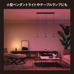 PHILIPS Hue 470 LED電球 E17 フルカラー Amazon | フィリップスヒュー(Philips Hue) スマート電球 E17