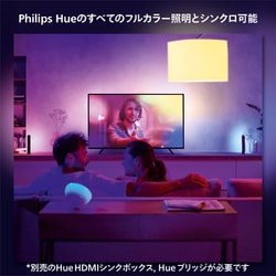 ヨドバシ.com - フィリップス PHILIPS Philips Hue Play ヨドバシ.com - フィリップス PHILIPS Philips Hue Play