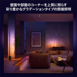 Philips Hueシグネグラデーションフロアライト ブラック ヨドバシ.com - フィリップス PHILIPS Philips Hue シグネ