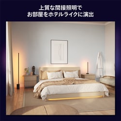Philips Hue シグネ グラデーションフロアライト PHSIFLB Hue シグネ グラデーション LED フロアライト - ブラック