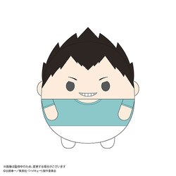 ハイキュー　ふわコロりん 9 box 特典　牛島　マックスリミテッド ハイキュー!! ふわコロりん9 | MAXLIMITED ONLINE SHOP