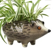 PTHH [プランター Hannah Turner ハリネズミ イノシシ Hedgehog]