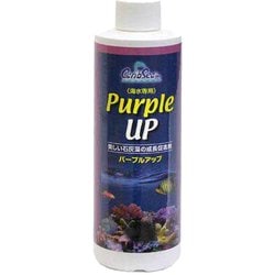 カリブシー カミハタ パープルアップ 240ml 海水用 543012