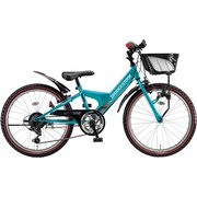 子ども用自転車 エクスプレスジュニア 22インチ 外装6段変速 E.Xエスニックターコイズ EXJ25