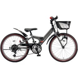 子ども用自転車 エクスプレスジュニア 20インチ 外装6段変速 M.Xガンメタグレー EXJ05