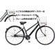 シティサイクル アルベルト 27サイズ M.XHスパークルシルバー AB7S5
