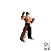 TKN-029 鉄拳 レジェンドシリーズ ダイカットビニールステッカー TEKKEN 3 風間仁