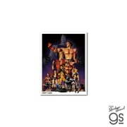 TKN-043 鉄拳 レジェンドシリーズ ポスターデザインステッカー 鉄拳