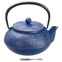 岩鋳 急須 カエデ5型 金/ヨーロッパブルー BKY3603