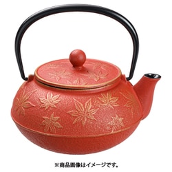 岩鋳 急須 カエデ5型 金/赤茶 BKY3604