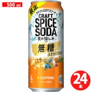 【限定】クラフトスパイスソーダ 食の愉しみ 6度 500ml×24缶（ケース） [チューハイ]