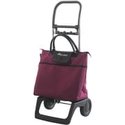 RS-101BL [BELEZA MFBUR]