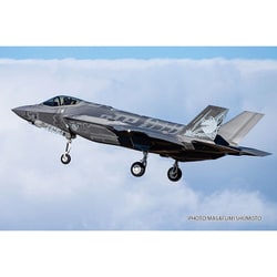 1/72 F-35A ライトニングII 【航空自衛隊 第3航空団 第301飛行隊
