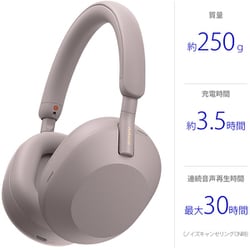 ヨドバシ.com - ソニー SONY ワイヤレスノイズキャンセリング