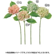 A-34902 004G [ハイドランジア ピーチグリーン]
