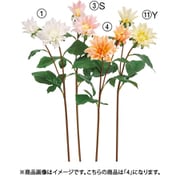 ダリア×2 ピーチ A-34981 004