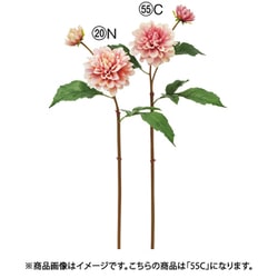 ダリア×2 クリームモーブ A-34998 055C
