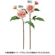 A-34998 055C [ダリア×2 クリームモーブ]