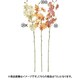 オンシジューム×9 つぼみ×3 モーブ A-34987 055