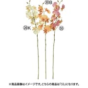 オンシジューム×9 つぼみ×3 モーブ A-34987 055