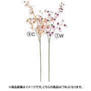 A-34996 007W [オンシジューム×32 つぼみ×2 パープルホワイト]