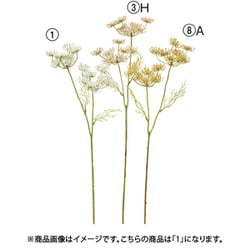 クイーンアンズレース×2 ホワイト A-34921 001