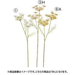 クイーンアンズレース×2 ソフトベージュ A-34921 008A
