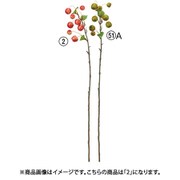 A-48013 002 [ヒメリンゴ レッド]