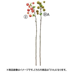 ヒメリンゴ グリーン A-48013 051A