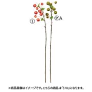 A-48013 051A [ヒメリンゴ グリーン]
