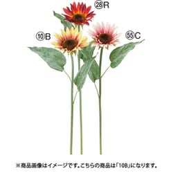 サンフラワー イエローブラウン A-34990 010B