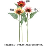 サンフラワー ブラウンレッド A-34990 028R