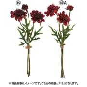 スカビオサバンチ バーガンディ A-34954 015