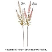 デルフィニウム×3 ソフトベージュ A-34964 008A