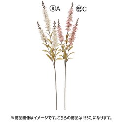デルフィニウム×3 クリームモーブ A-34964 055C