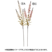 A-34964 055C [デルフィニウム×3 クリームモーブ]