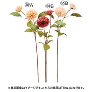 A-34925 030W [ダリア×2 オレンジホワイト]