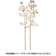 A-34977 053S [クイーンアンズレース×2 セージグリーン]