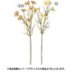 コスモス×7 ダスティベージュ A-34961 008D