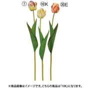 A-34927 010K [チューリップ ダスティイエロー]