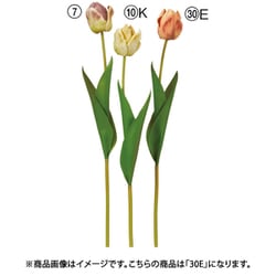 チューリップ オレンジイエロー A-34927 030E