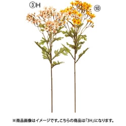 ワイルドフラワー×40 つぼみ×60 ピンクベージュ A-34904 003H