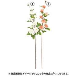 ローズ×8 つぼみ×1 ピーチ A-34936 004