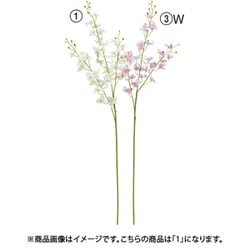 オーキッド×32 つぼみ×13 ホワイト A-34930 001