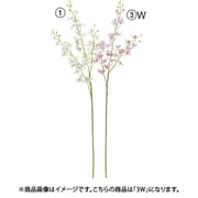 A-34930 003W [オーキッド×32 つぼみ×13 ピンクホワイト]