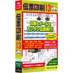 伝票印刷 13（通常パッケージ） [Windowsソフト]